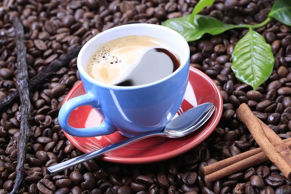 Cup of coffee — Stock Photo, Image