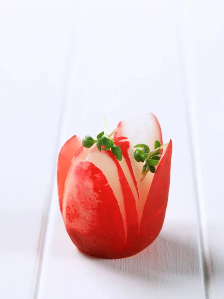 Radish flower — Stock Photo, Image