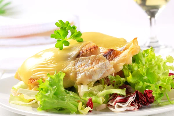 Peynir balık fileto salata ile zirveye yerleşti. — Stok fotoğraf