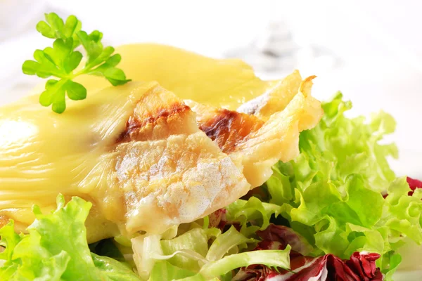 Cheese topped fish fillets with salad — 图库照片