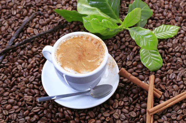 Cappuccino csésze — Stock Fotó
