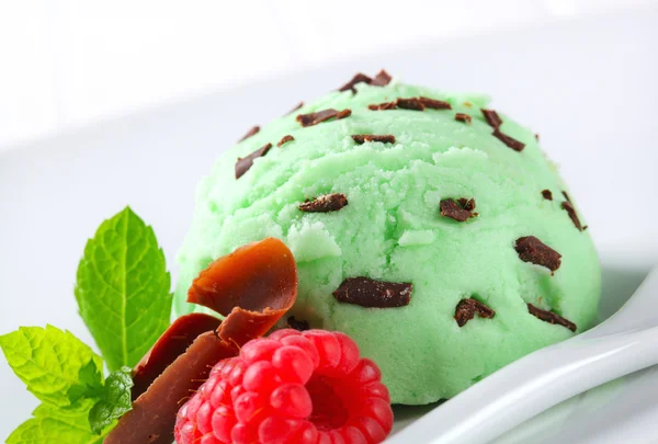 Mint chocolate chip ice cream — Stock Photo, Image