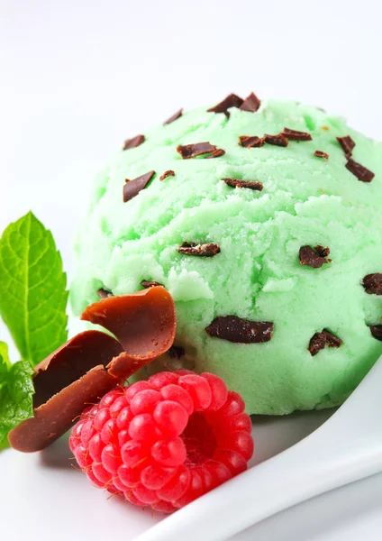 Mint chocolate chip ice cream — Stock Photo, Image