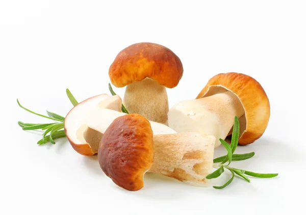 Fresh edible mushroom — Stock Photo, Image