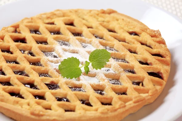 Lattice topped cake — Stock Photo, Image