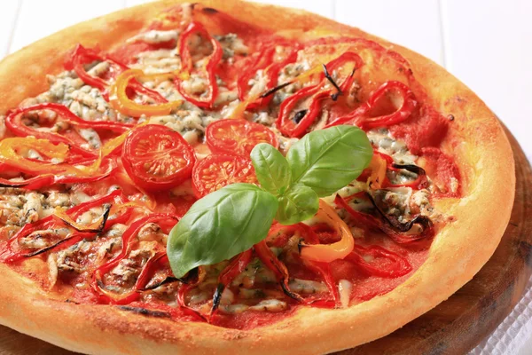 Blue cheese pizza with strips of pepper on top — Stock Photo, Image