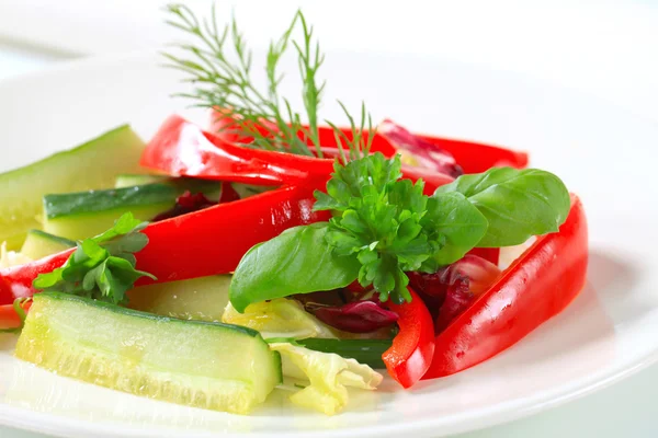 Rode paprika en komkommer stokken — Stockfoto