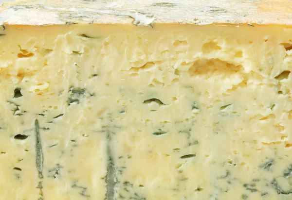 Detail of blue cheese — Stock Photo, Image