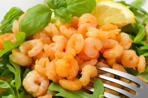 Insalata di gamberetti — Foto Stock