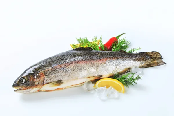 Fresh trout — Stock Photo, Image