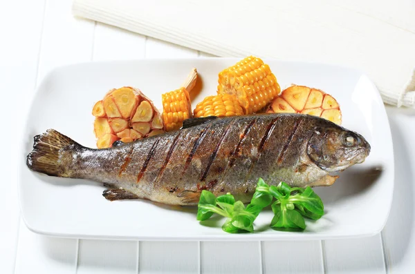 Gegrilde forel — Stockfoto