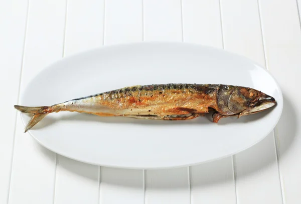 鯖の西京焼き — ストック写真