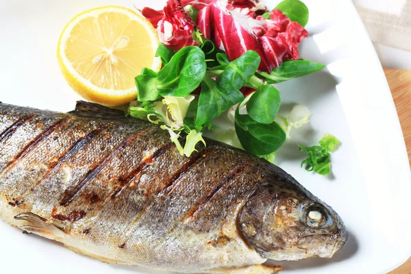 Gegrilde forel — Stockfoto