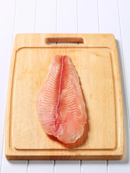 Filete de pescado congelado — Foto de Stock