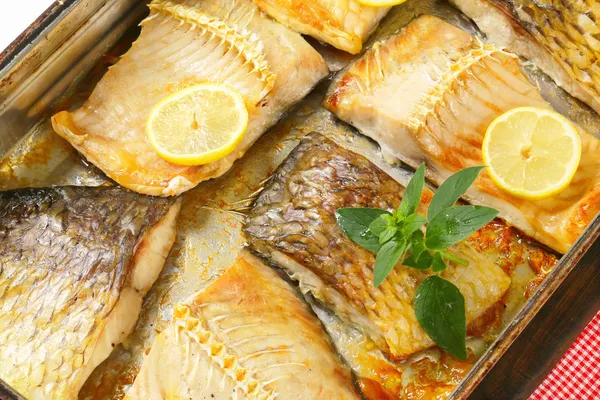 Oven roasted carp fillets — Stock Photo, Image