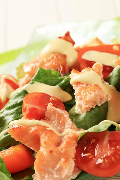 Salmon salad — Stock Photo, Image