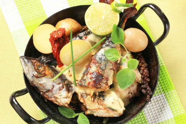 Pan fried mackerel with cream sauce and new potatoes — Stock Photo, Image