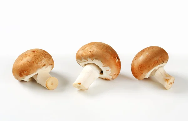 Italian brown mushrooms — Stock Photo, Image