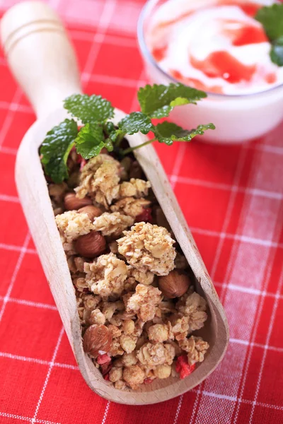 Cucharada de cereales de granola y yogur — Foto de Stock
