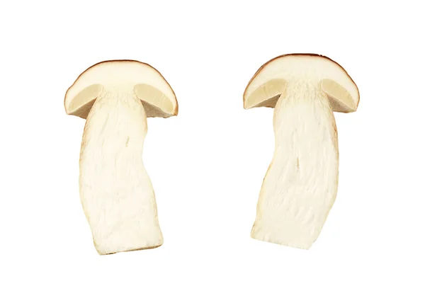 Fresh edible mushroom - full length — Stock Photo, Image