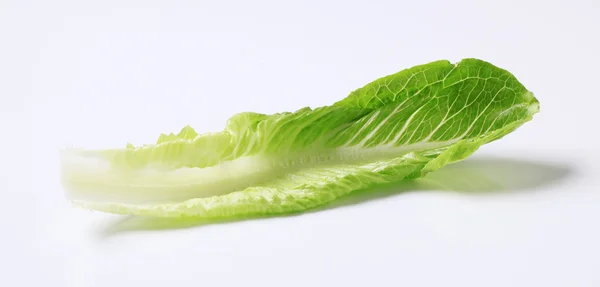 Romainischer Salat — Stockfoto