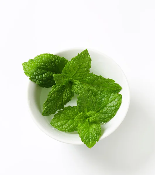 Daun mint segar — Stok Foto