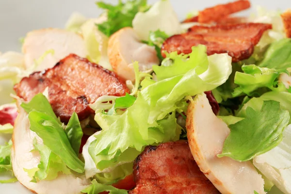 Salade verte au poulet et bacon — Photo