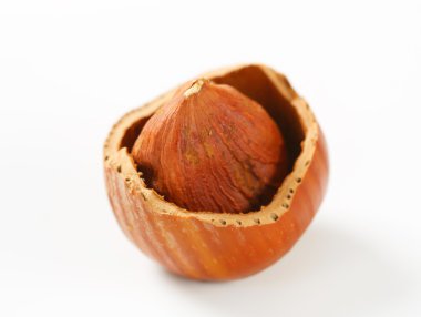 kırık fındık