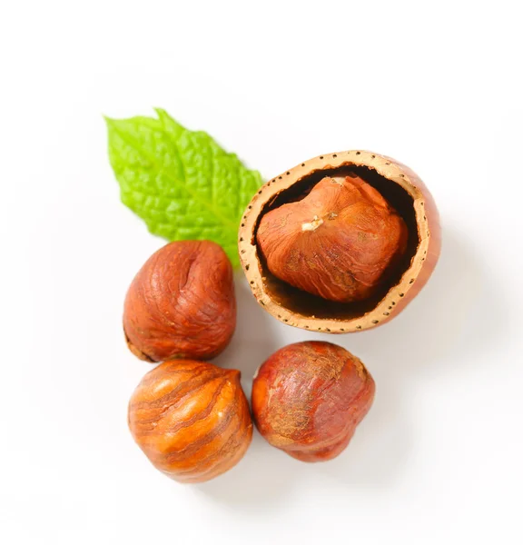 Fresh hazelnuts — Stock Photo, Image