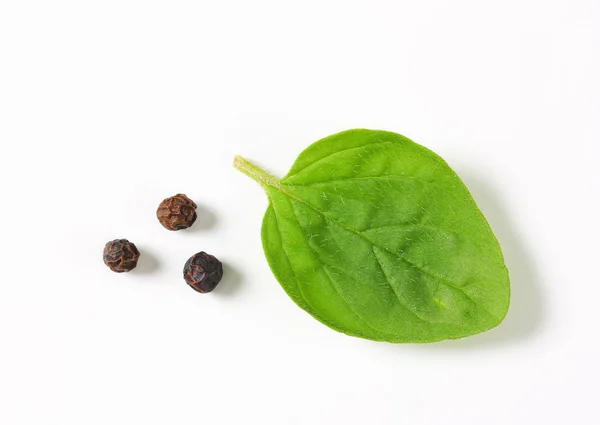 Hoja de orégano fresca y granos de pimienta — Foto de Stock