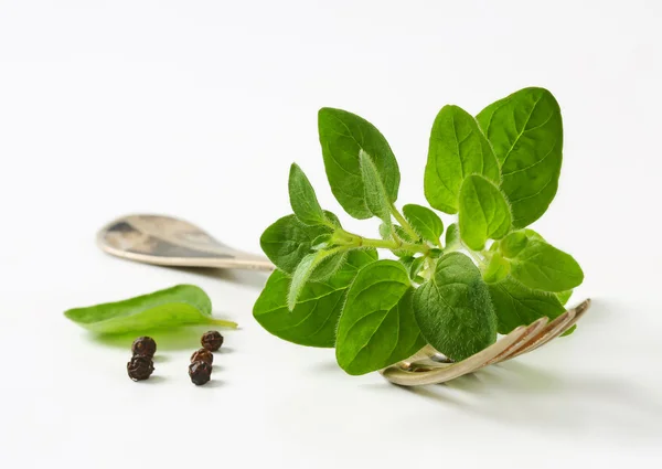 Fresh oregano sprigs on fork — Stock Photo, Image