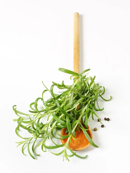 Rosemary, peppercorns and wooden spoon — Stock Photo, Image