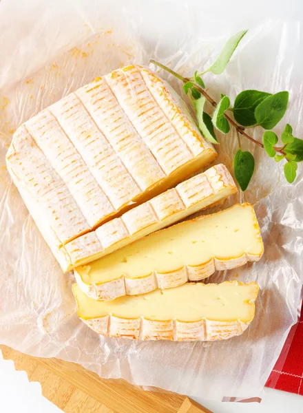 Franse gewassen korst kaas — Stockfoto