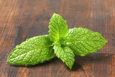 Taze nane yaprakları