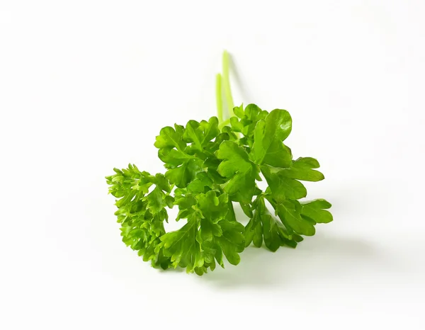 Fresh parsley sprigs — Stock Photo, Image