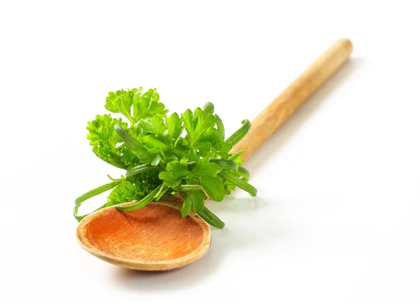 Fresh culinary herbs — Stock Photo, Image