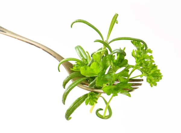 Fresh herbs on fork — Stock Photo, Image