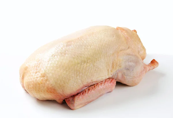 Ham ördek — Stok fotoğraf