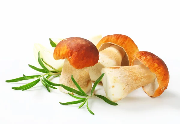 Fresh porcini mushrooms — Stock Photo, Image