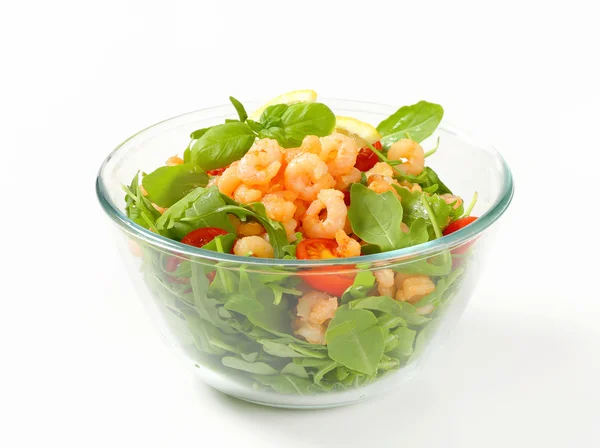 Shrimp salad — Stock Photo, Image