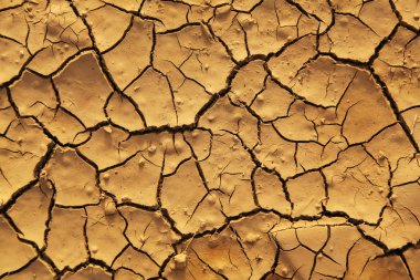 Dry cracked earth clipart