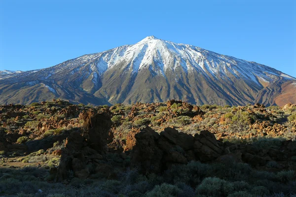 雪をかぶったエル テイデがあります、テネリフェ島 — ストック写真