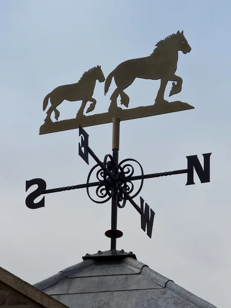 Veleta decorativa del tiempo — Foto de Stock