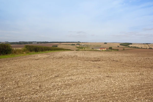 Paisagem cultivada — Fotografia de Stock