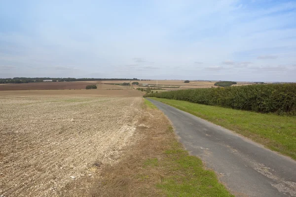 Kalkhaltig fieldscape — Stockfoto