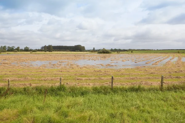 Overstroomd hooi veld — Stockfoto