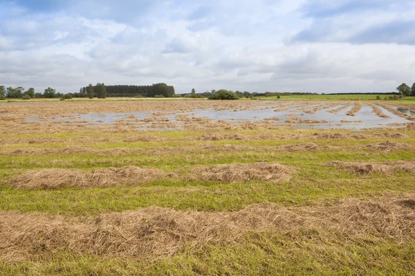 Sommaren översvämningar — Stockfoto