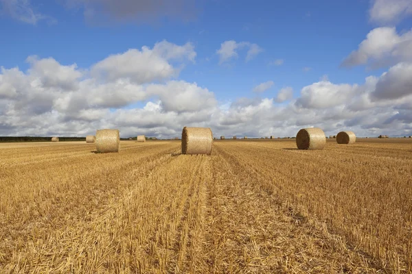 Late summer harvest scene — Stock Photo, Image