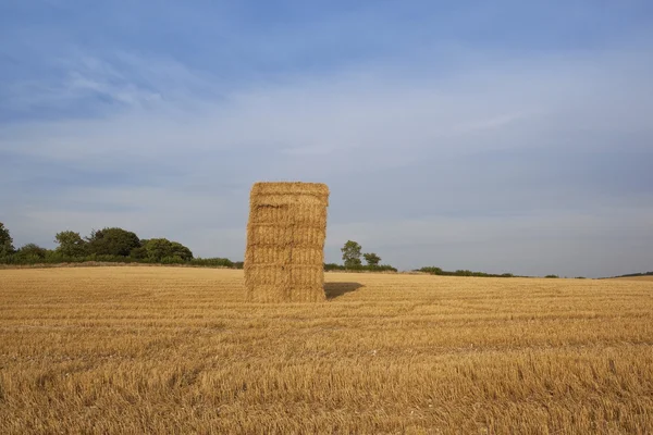 Stubble e fardos quadrados — Fotografia de Stock