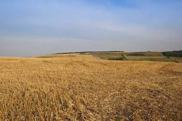 Hintergrund zur Erntezeit — Stockfoto